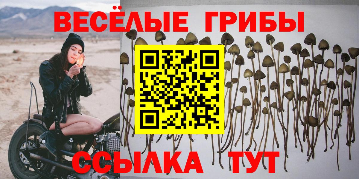 Псилоцибиновые грибы Magic Shrooms Михайловск